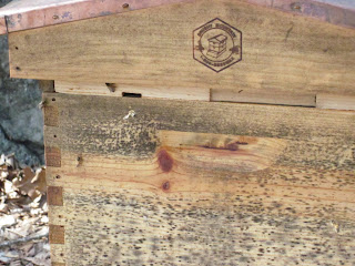 March Bees